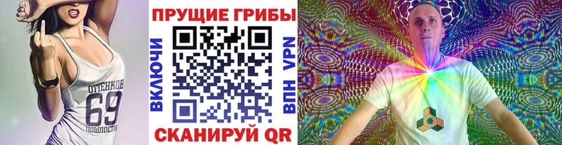 Псилоцибиновые грибы Psilocybe  сколько стоит  Вологда 